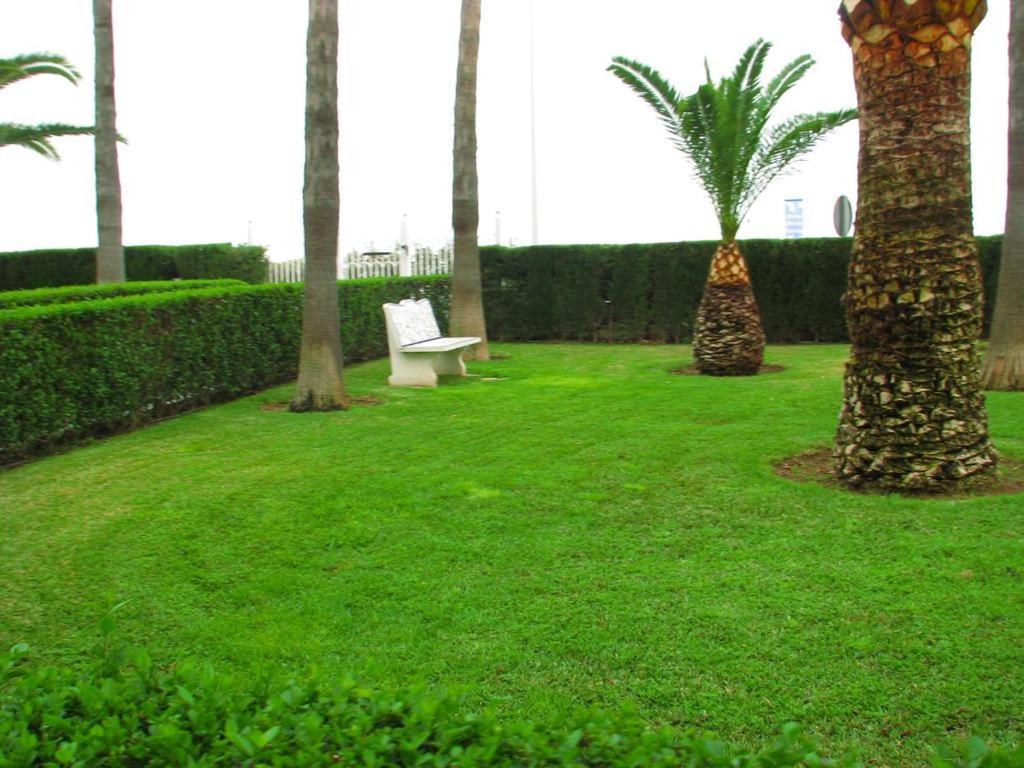 Apartment Martinez Casablanca Alcossebre エクステリア 写真