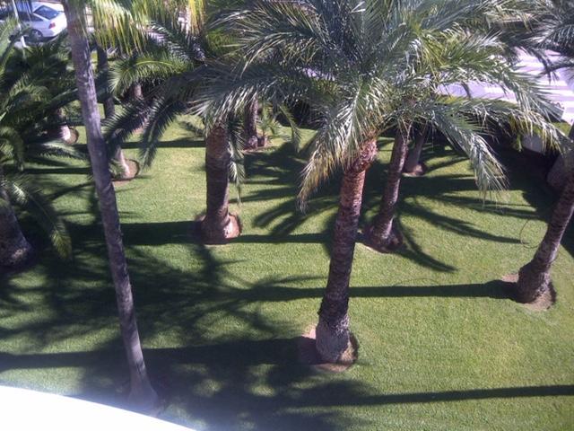 Apartment Martinez Casablanca Alcossebre エクステリア 写真